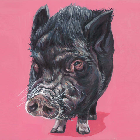 Hand Painted Pig Portrait (3)